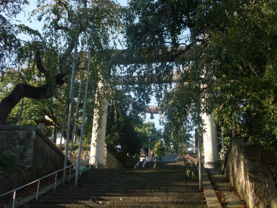 2011/10/19 09:20/最近の烏帽子山公園の風景