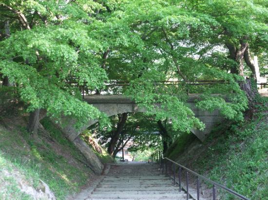 2013/05/23 09:47/新緑の烏帽子山情報2013その1