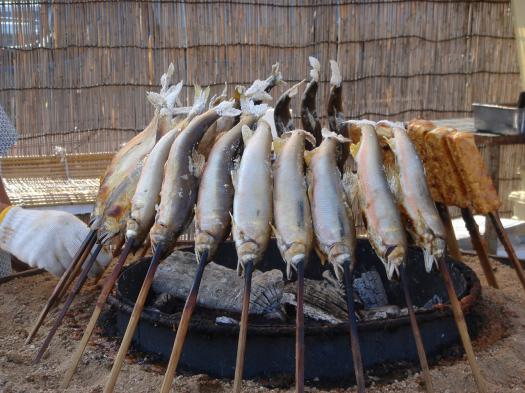 2011/10/11 15:58/Roasted ayu with salt.