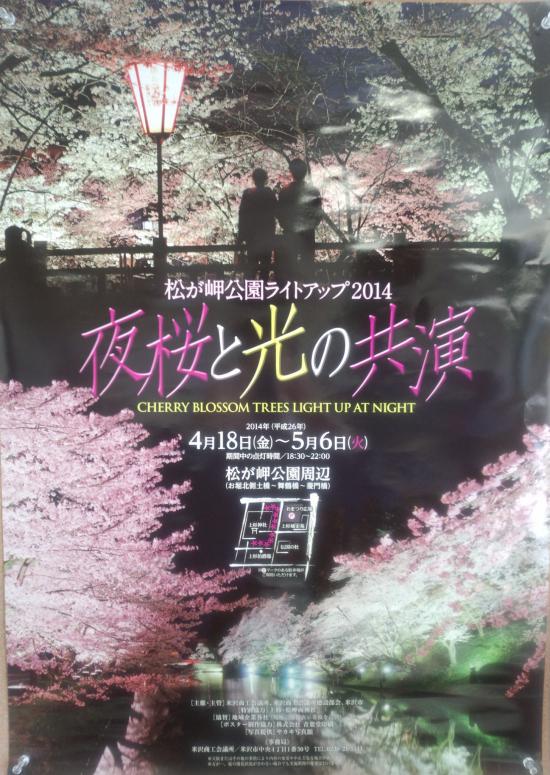 2014/04/23 07:46/夜桜と光の共演!松が岬公園ライトアップ!