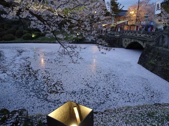 2019-4-25 上杉神社の桜:2019/04/26 09:00