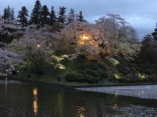 2019-4-25 上杉神社の桜:2019/04/26 09:01