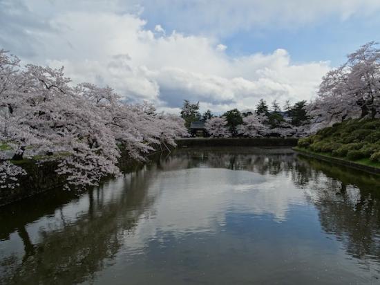 2020-4-24 上杉神社の桜:2020/04/25 08:23