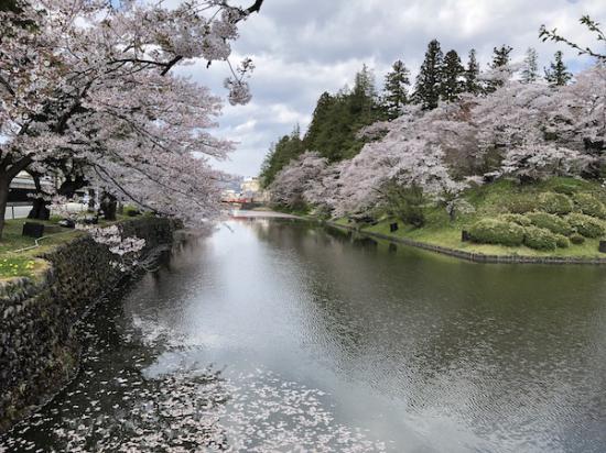 2020-4-28 上杉神社の桜:2020/04/28 12:00