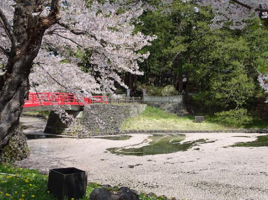 2020-4-28 上杉神社の桜:2020/04/28 12:04