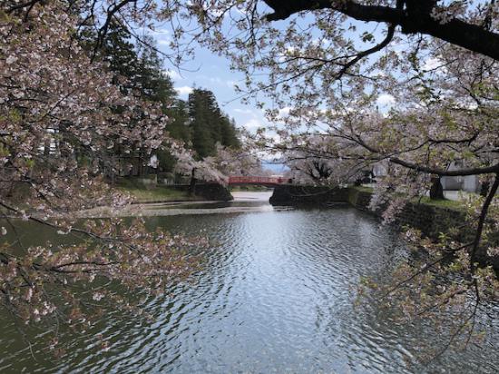2020-4-28 上杉神社の桜:2020/04/28 12:13