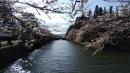 「松が岬公園の桜4月16日（土）..」画像