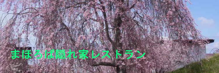 ޤۤбȥ쥹ȥ